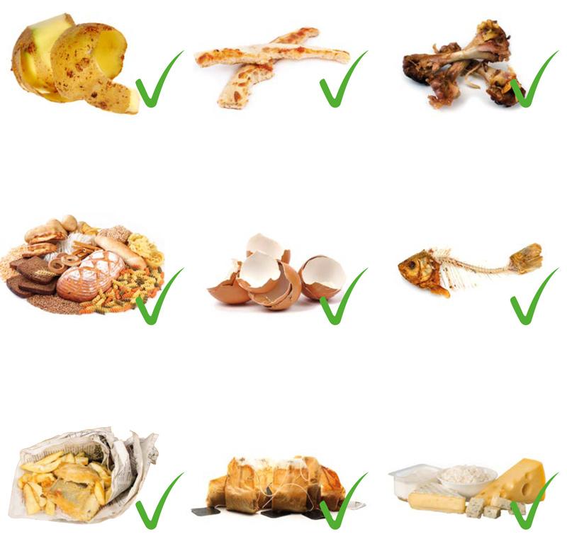 What you can put in your Organics bin