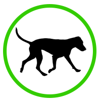 Designated dogs off-leash area