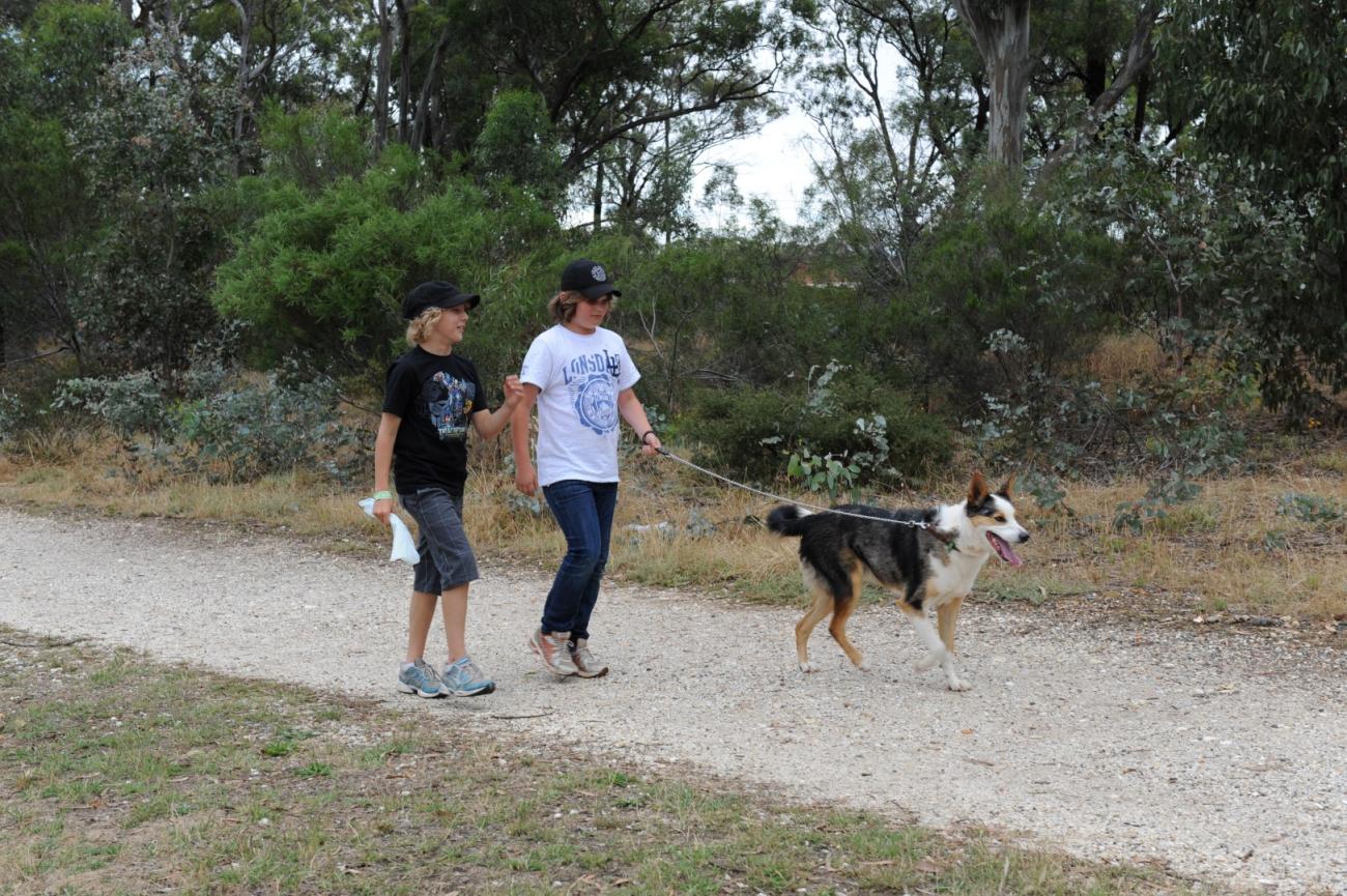 Boys walking dog on path