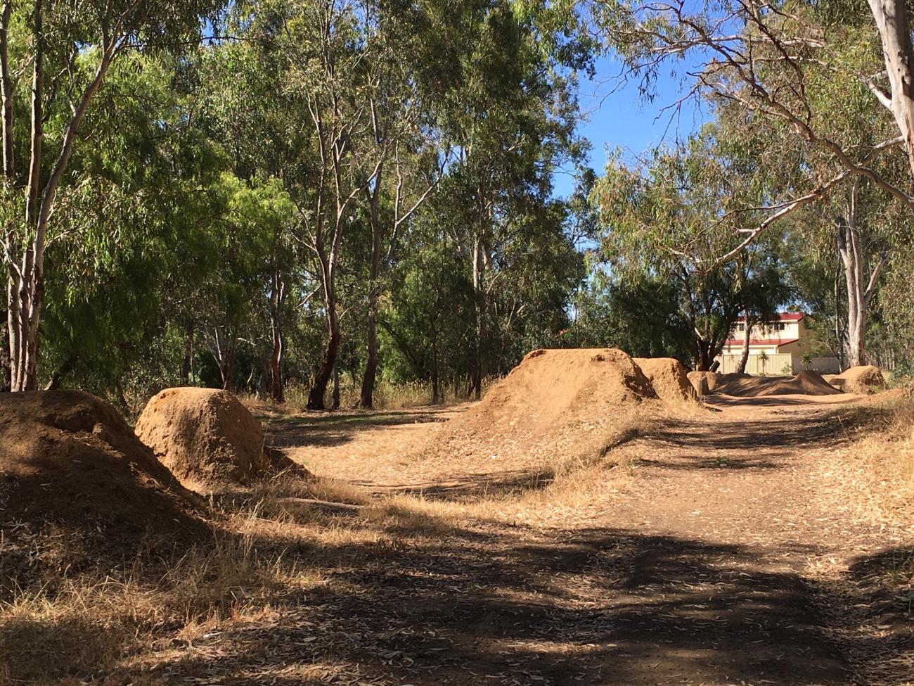 A dirt BMX track with high jumps