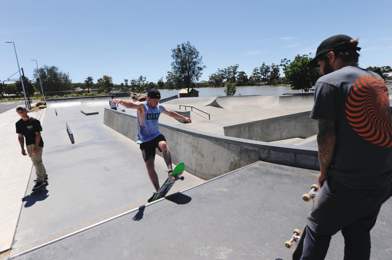 Kids at Skatepark on Boards