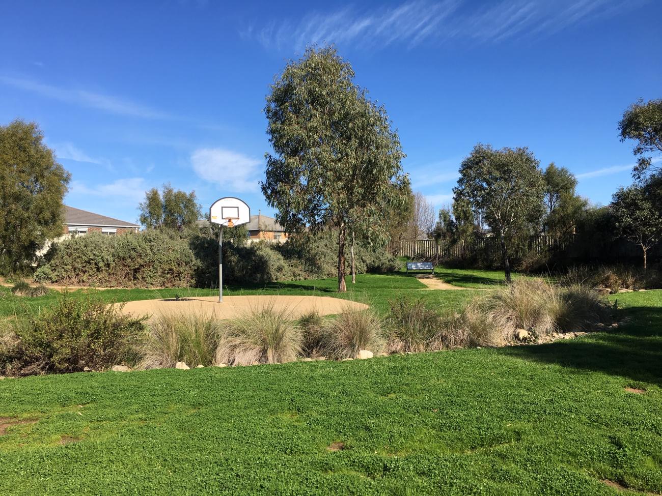 A basketball goal with green grass in front and blue sky and trees in the background