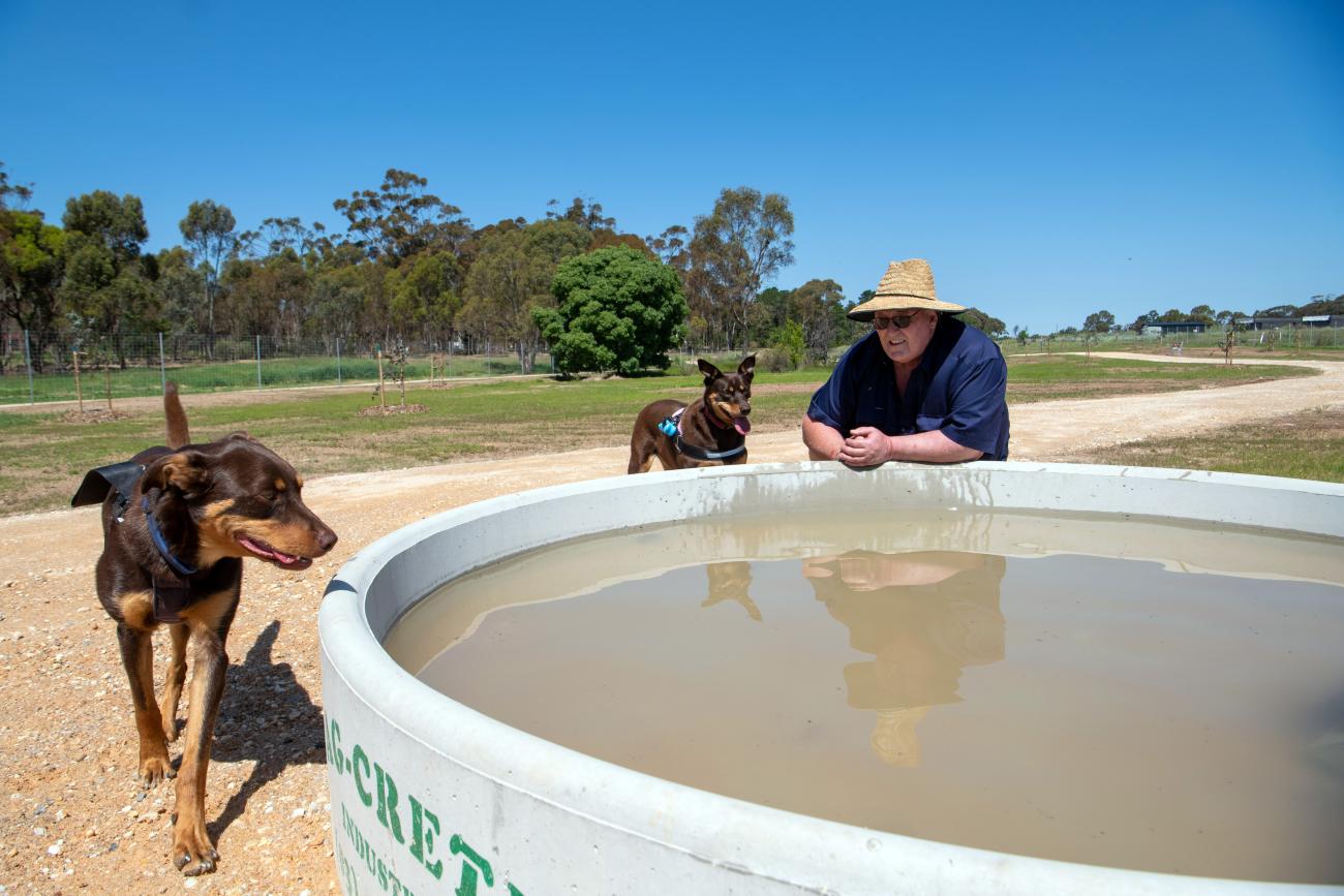 A man and two dogs near a large concrete water trough