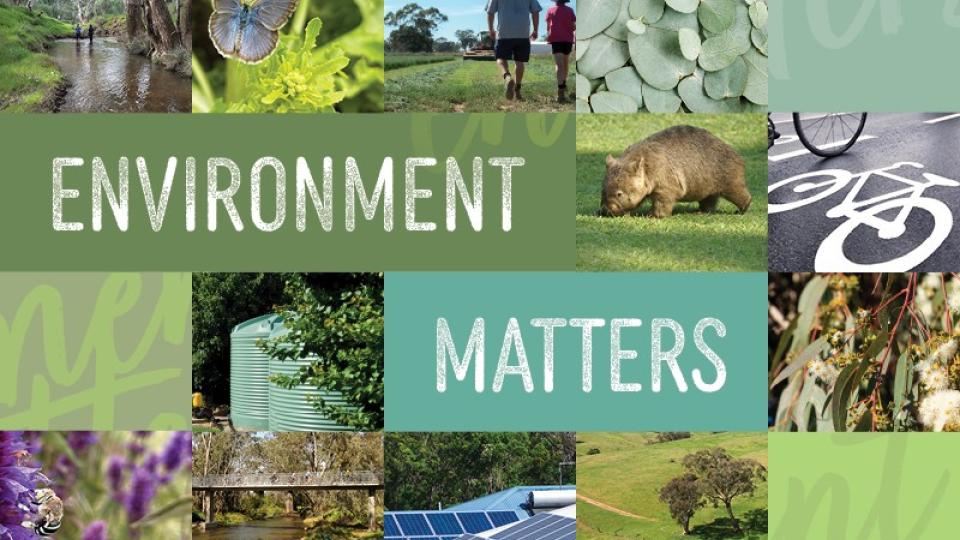 Climate and environment news for Greater Bendigo