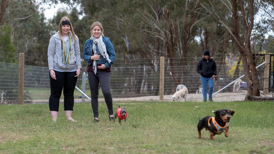 Two women and their dogs playing in the Allingham Street Dog Park 