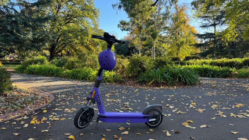 A purple Beam Mobility e-scooter parked in Rosalind Park