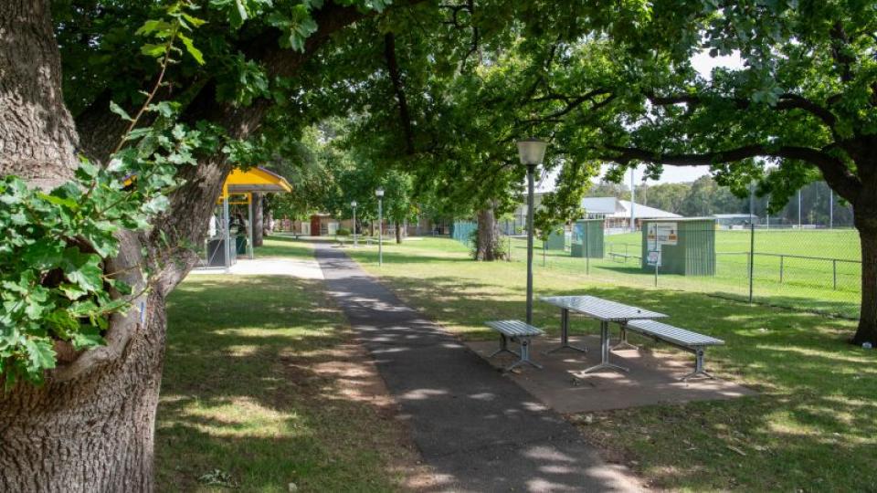 Path under trees at Barrack Recreation Reserve