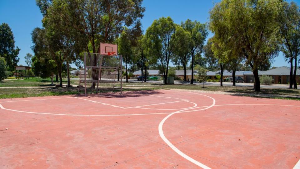 Basketball court and hoop at Botanical Drive playspace Epsom