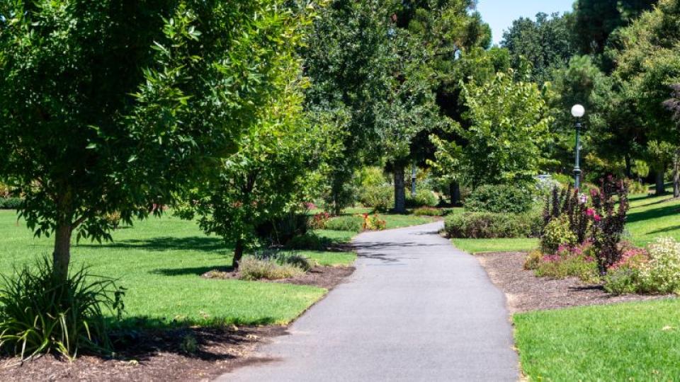 Garden and path at Canterbury Park