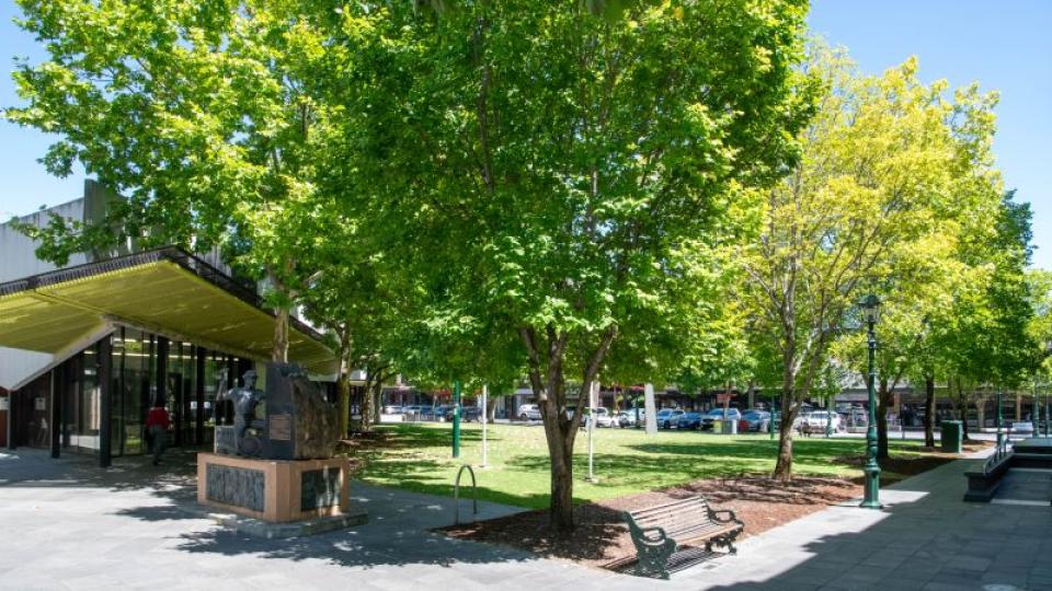 Park area at Bendigo Library gardens