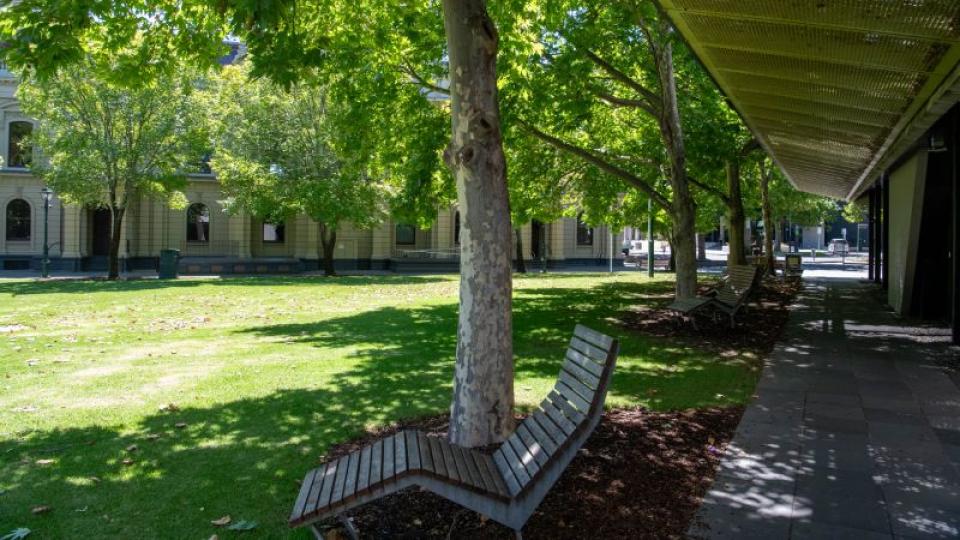 Seat at Bendigo Library gardens