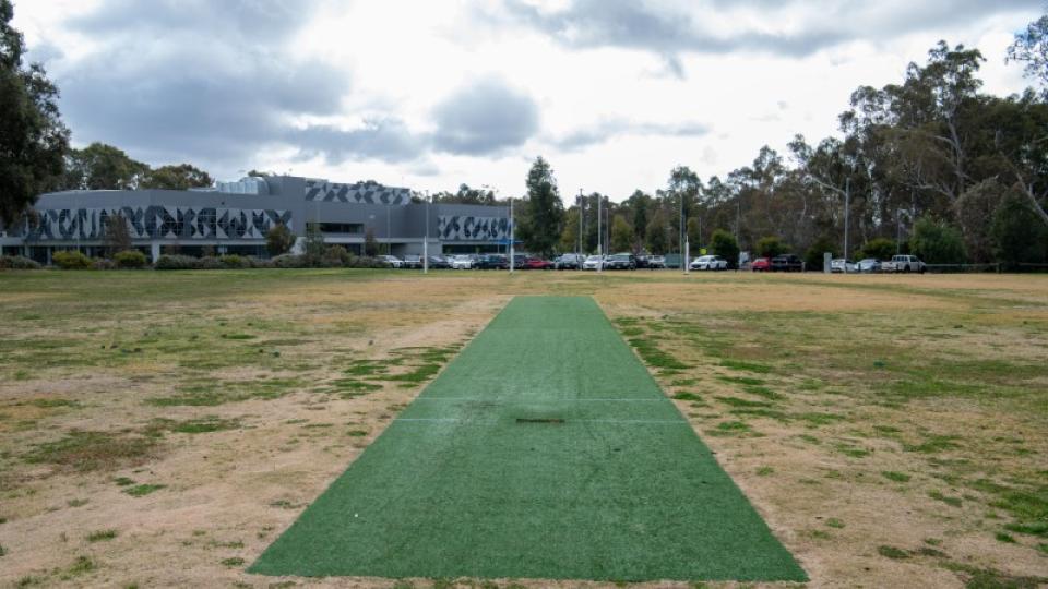Cricket pitch at Browning Street Oval
