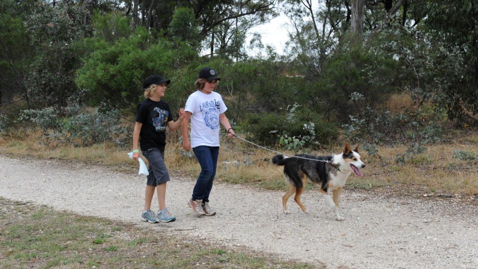 Boys walking dog on path