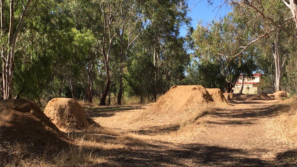 A dirt BMX track with high jumps