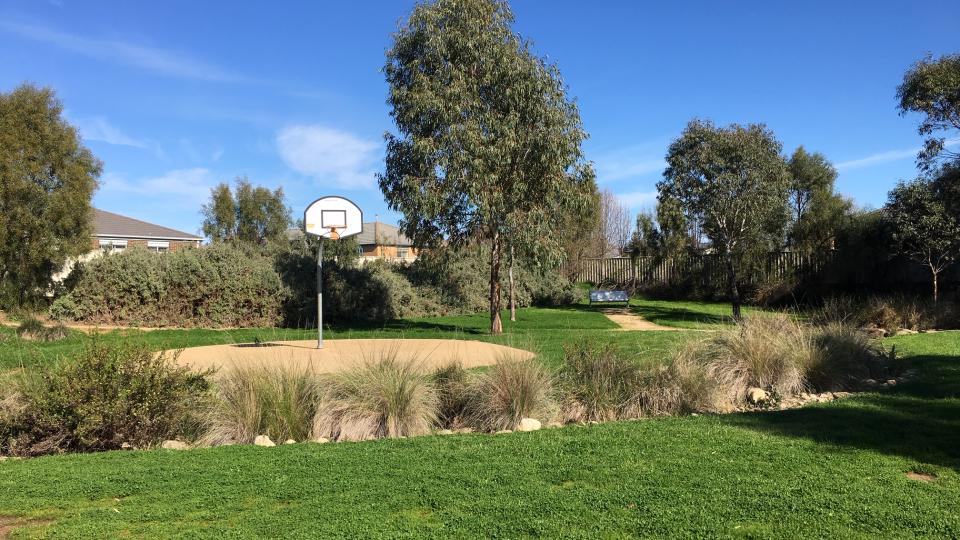 A basketball goal with green grass in front and blue sky and trees in the background